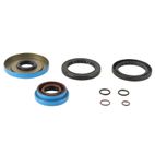 ALL BALLS Transaxle Seal Kit - motoscamaralweb.com