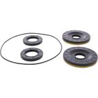 ALL BALLS Rear Differential Seal Kit - motoscamaralweb.com