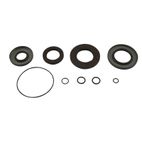 ALL BALLS Transaxle Seal Kit - motoscamaralweb.com