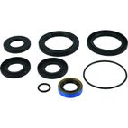 ALL BALLS Transaxle Seal Kit - motoscamaralweb.com