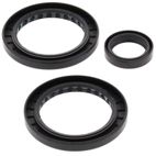 ALL BALLS Rear Differential Seal Kit - motoscamaralweb.com