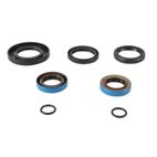 ALL BALLS Transaxle Seal Kit - motoscamaralweb.com