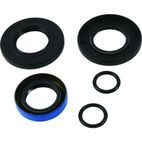 ALL BALLS Transaxle Seal Kit - motoscamaralweb.com