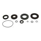 ALL BALLS Transaxle Seal Kit - motoscamaralweb.com