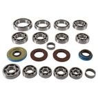 ALL BALLS Transaxle Bearing &amp; Seal Kit - motoscamaralweb.com