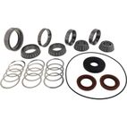ALL BALLS Rear Differential Bearing &amp; Seal Kit - motoscamaralweb.com