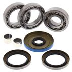 ALL BALLS Rear Differential Bearing &amp; Seal Kit - motoscamaralweb.com