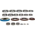 ALL BALLS Transaxle Bearing &amp; Seal Kit - motoscamaralweb.com