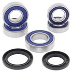 ALL BALLS Wheel Bearing Kit - motoscamaralweb.com