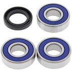 ALL BALLS Wheel Bearing Kit - motoscamaralweb.com