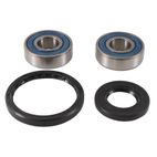 ALL BALLS Wheel Bearing Kit - motoscamaralweb.com