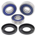 ALL BALLS Wheel Bearing Kit - motoscamaralweb.com