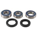ALL BALLS Wheel Bearing Kit - motoscamaralweb.com