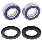 ALL BALLS Wheel Bearing Kit - motoscamaralweb.com
