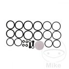 Kit Reparación Pinza de Freno Tourmax | Motos Camaral