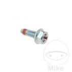 Tornillo Pinza de Freno OEM M8x25mm | Recambio Original | Motos Camaral