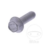 Tornillo Tapa de Válvula OEM | Recambio Original | Motos Camaral
