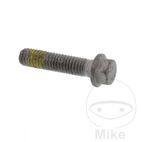Tornillo Disco de Freno OEM M6X1X26MM | Motos Camaral