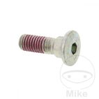 Tornillo Disco Freno OEM M8x1.25x25mm | Motos Camaral