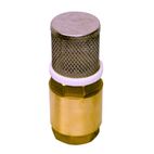 FILTRO METALICO 3/4' MANGUERA ASPIRACION *******- motoscamaralweb.com