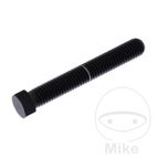 Tornillo de Ajuste de Eje M8x1.25 55mm Inox V4A Negro | Motos Camaral