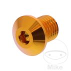 Tapa Tornillo Retrovisor Daytona M10x1.25 Dorado Izq | Motos Camaral