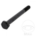Tornillo 10X110 8G para KIPPZYLINDER Monty 3300 | Motos Camaral