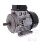 Motor Monty 3300 2-Speed 400V 2-60366A | Recambios | Motos Camaral