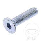 Tornillo Avellanado M6 x 25 10.9 para Desmontadora Monty | Motos Camaral
