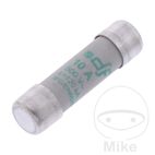 Fusible Cerámico 10A 38x10.3 JMP | Recambio Taller | Motos Camaral