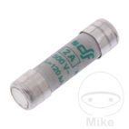Fusible Cerámico 2A 38x10.3 JMP | Recambios Taller | Motos Camaral