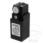 Interruptor Final Ravaglioli FR551A 527061 | Motos Camaral