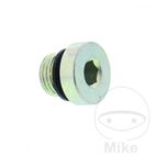 Tornillo Purga TS-Cilindro 2.35 TS Nussbaum 131656 | Motos Camaral
