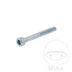 Tornillo Cilíndrico M6X50 Cincado para TAA 2.50 DG | Motos Camaral