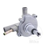 Bomba de Agua Completa OEM | Recambio Original | Motos Camaral