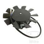 Ventilador de Refrigeración AllBallsRacing | Motos Camaral