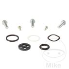 Kit Reparación Grifo Gasolina AllBallsRacing | Motos Camaral
