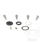 Kit Reparación Grifo de Gasolina AllBallsRacing | Motos Camaral