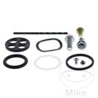 Kit Reparación Grifo Gasolina AllBallsRacing | Motos Camaral