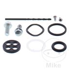 Kit Reparación Grifo de Gasolina AllBallsRacing | Motos Camaral