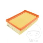Filtro de Aire Mahle Altn 7230313 | Mahle | Motos Camaral