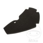 Filtro de Aire Foam OEM Altn 7233902 | Motos Camaral