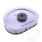 Filtro de Aire OEM Estándar | Recambio Original | Motos Camaral