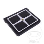 Filtro de Aire OEM Recambio Original | Motos Camaral