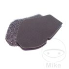 Filtro de Aire Foam Athena | Altn 7233478 | Motos Camaral