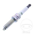 Bujía BN8RTC TORCH OEM | TORCH | Motos Camaral