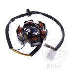 Estator 101 Octane | Recambios Alternador | Motos Camaral