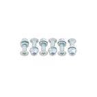 Pack de 6 Tornillos de corona Bolt Plata - cabeza Torx - motoscamaralweb.com