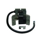 PIPA BUJIA AD BRIGGS- motoscamaralweb.com