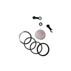 Kit de reparación pinza de freno trasera TECNIUM Suzuki GS-F - motoscamaralweb.com